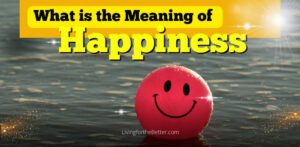What is the Meaning of Happiness Header